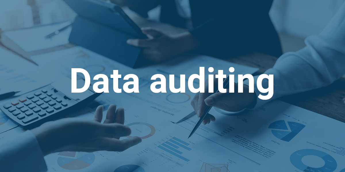 data auditing