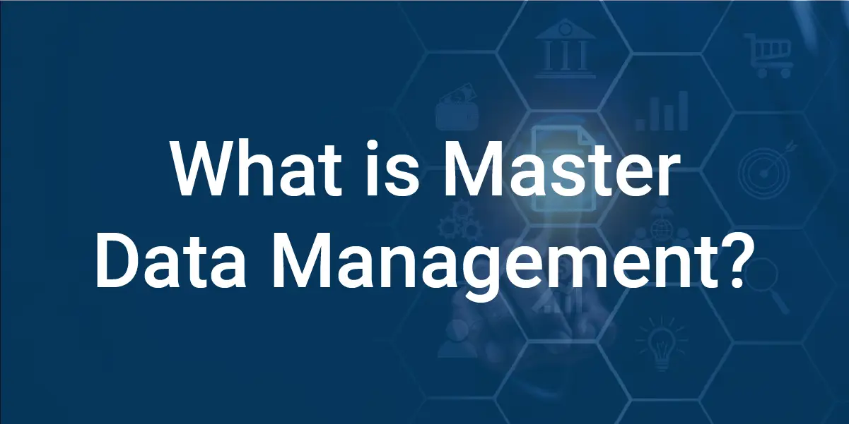 what is master data management