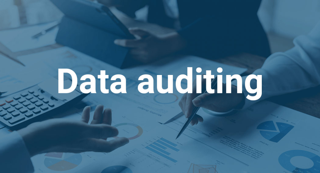 data auditing