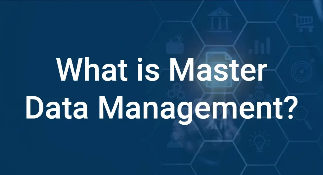 what is master data management